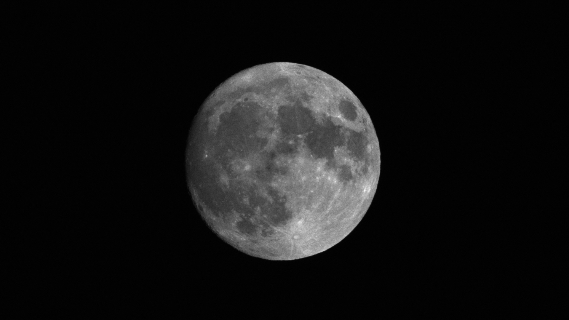 Moon (1 exp)