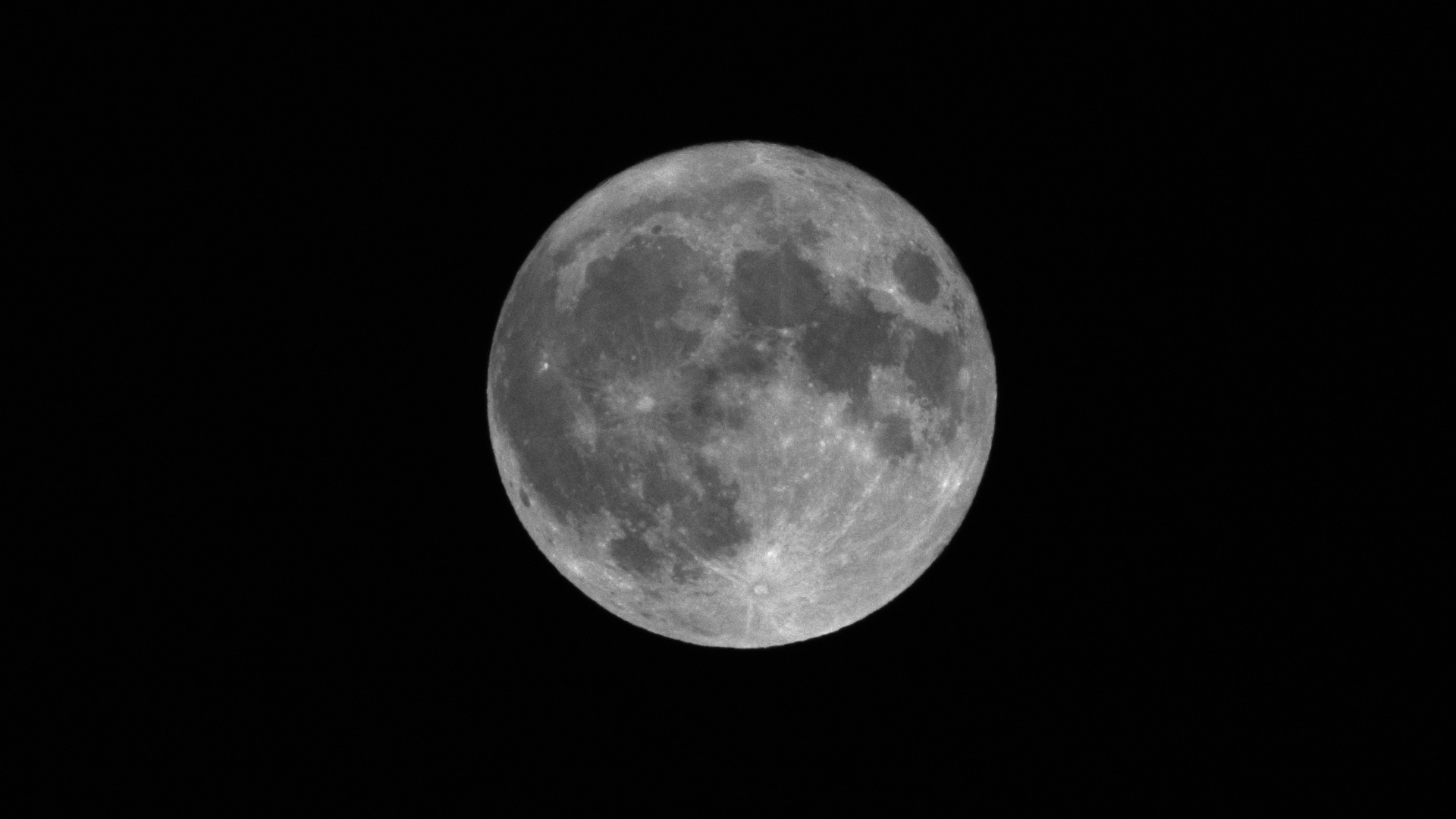 Moon (1 exp)